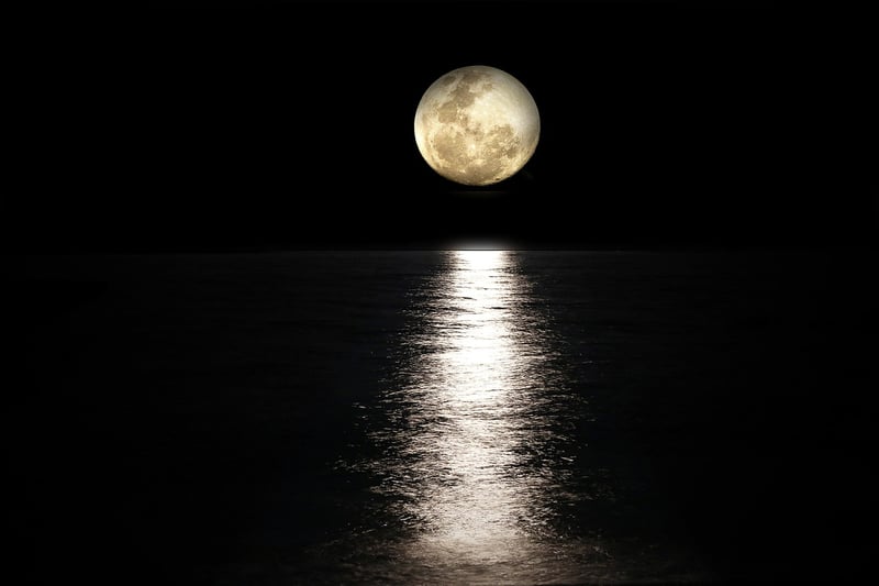 Stunning photo