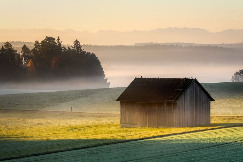 Charming Barn Setting